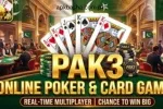 PAK3 online game