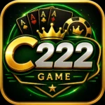 C222 Game