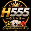 H555 Game