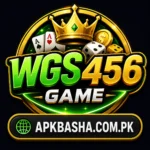 WGS456 Game